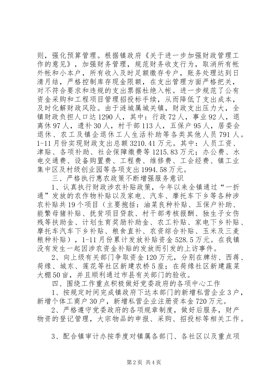 财税办工作总结范文_第2页