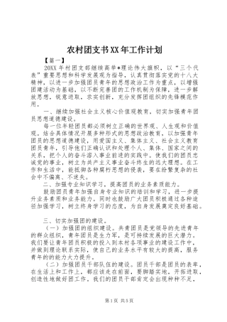 农村团支书工作计划