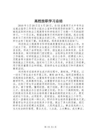 高校挂职学习总结