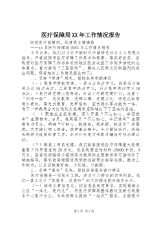 医疗保障局工作情况报告