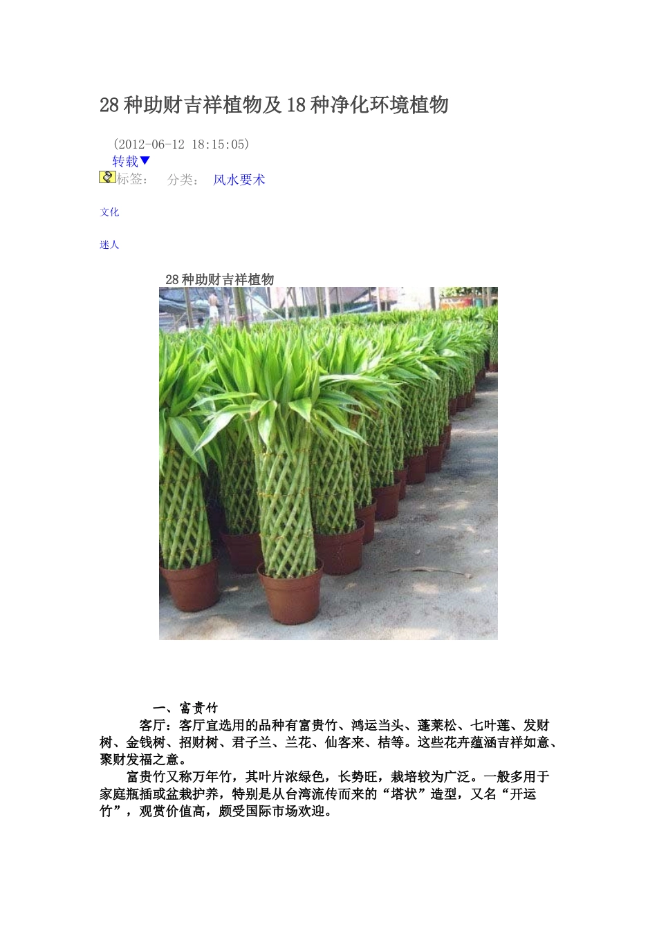 人力资源-28种助财吉祥植物及18种净化环境植物_第1页