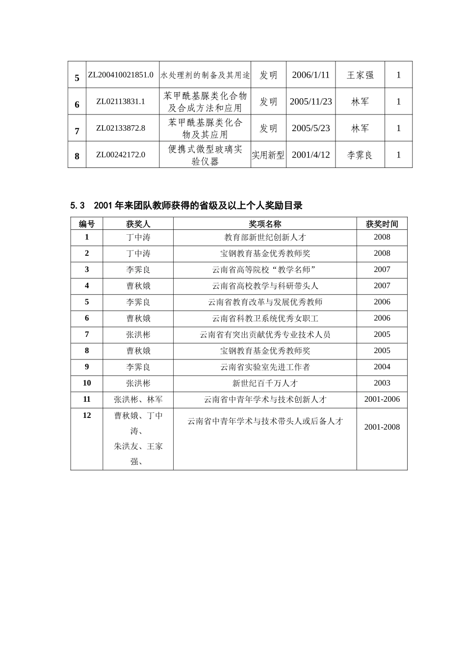 人力资源-5、教师获省级及以上科研奖励、申请专利和个人获奖目录_第2页