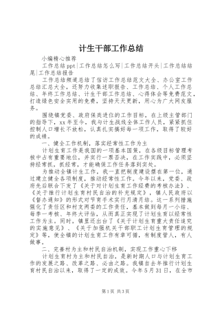 计生干部工作总结