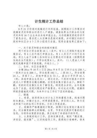 计生统计工作总结