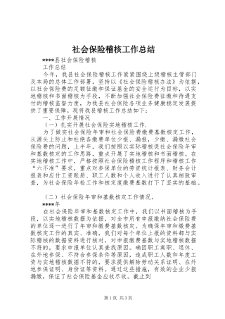 社会保险稽核工作总结