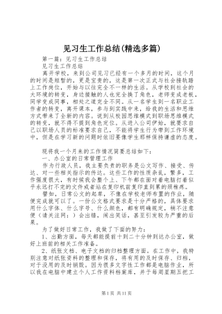 见习生工作总结(精选多篇)
