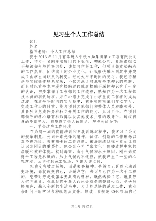 见习生个人工作总结