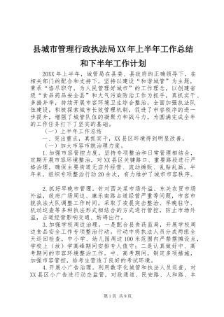 县城市管理行政执法局上半年工作总结和下半年工作计划