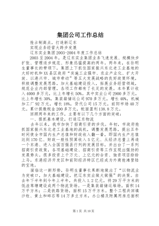 集团公司工作总结