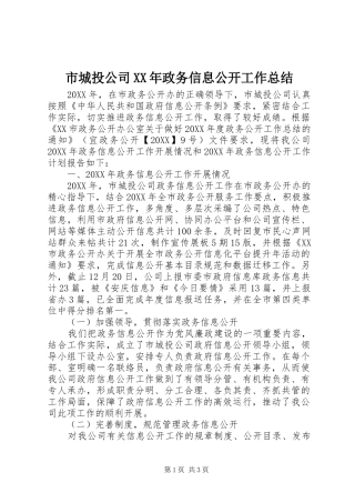 市城投公司政务信息公开工作总结