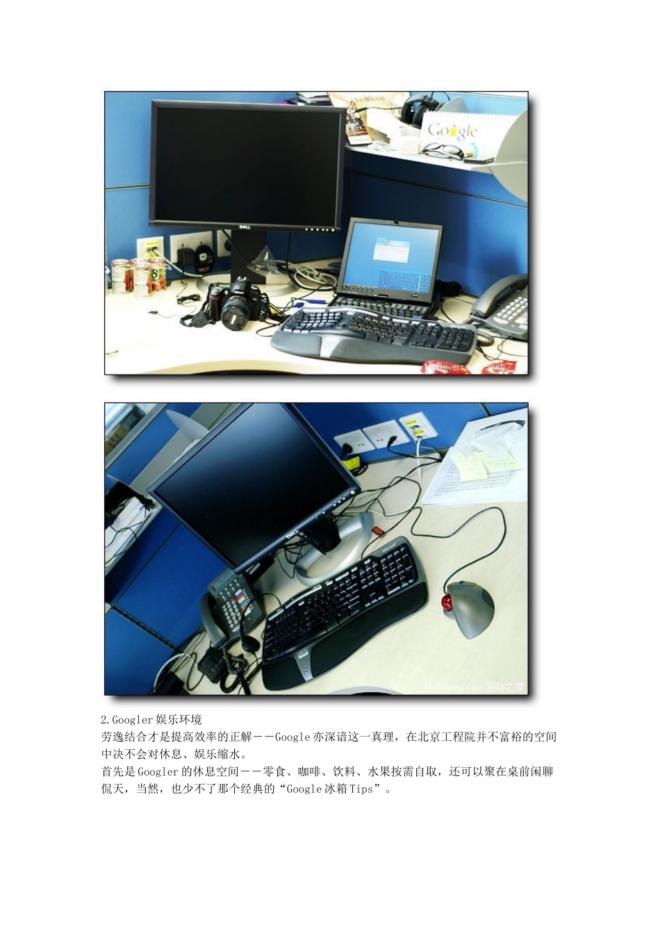 人力资源-GOOGLE管理与工作环境_第2页