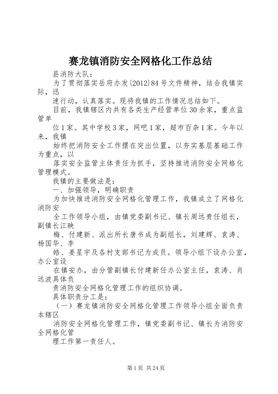 赛龙镇消防安全网格化工作总结_第1页
