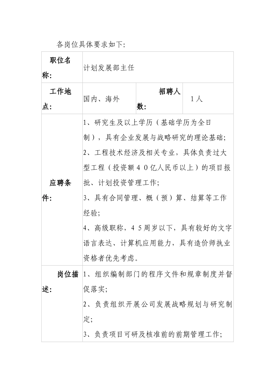 中电投国际矿业投资有限公司招聘公告-中电投国际矿业_第2页