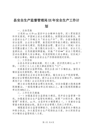 县安全生产监督管理局安全生产工作计划