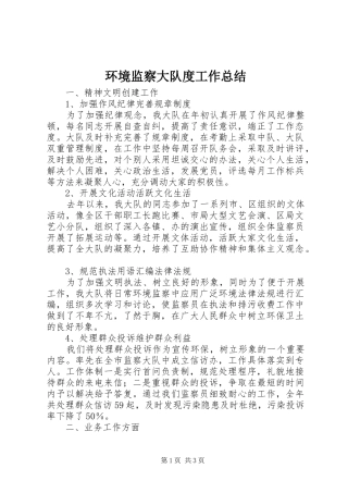 环境监察大队度工作总结