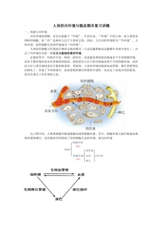 人体的内环境与稳态复习讲稿