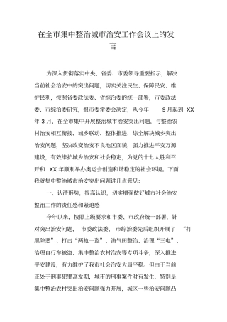 在全市集中整治城市治安工作会议上的发言
