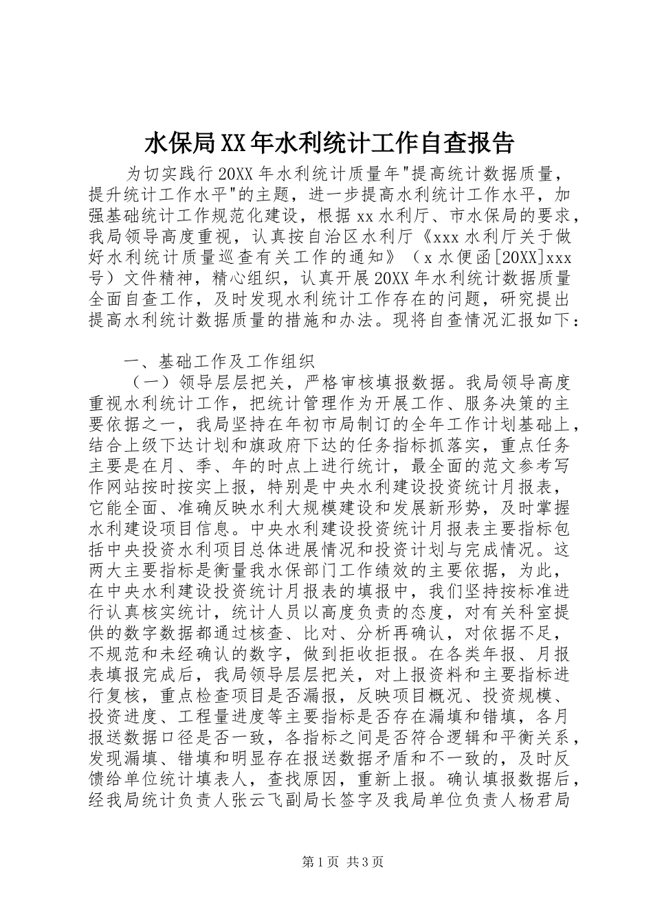 水保局水利统计工作自查报告_第1页