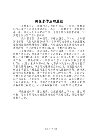 黑臭水体治理总结