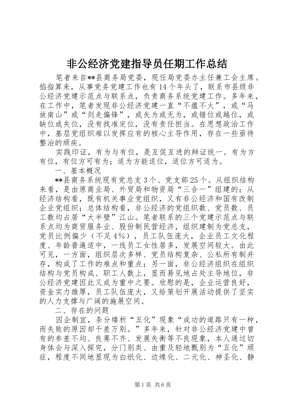 非公经济党建指导员任期工作总结_第1页