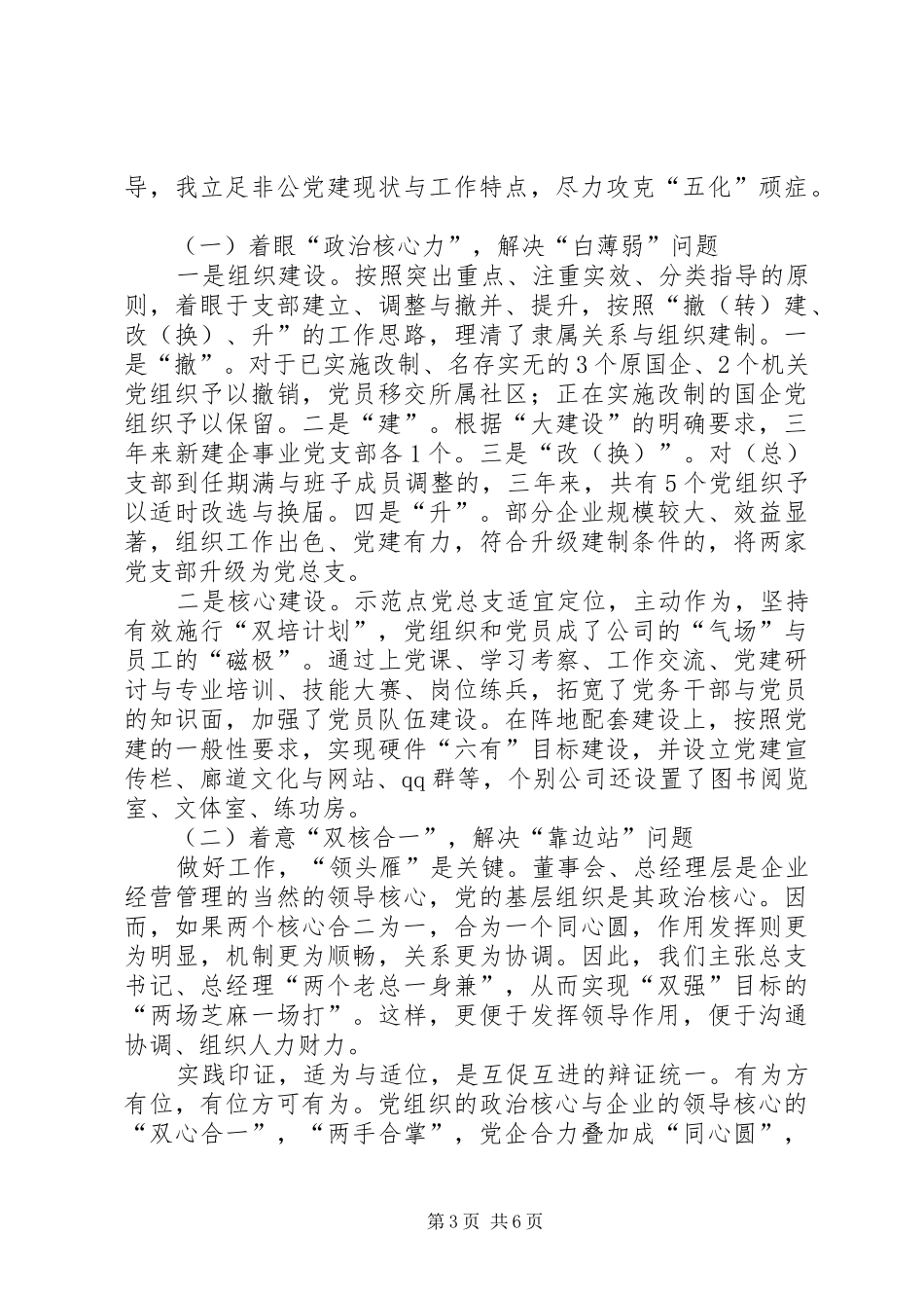 非公经济党建指导员任期工作总结_第3页