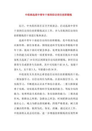 中组部选派中青年干部到信访岗位挂职锻炼