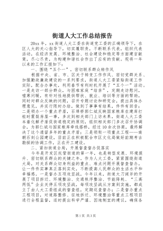 街道人大工作总结报告