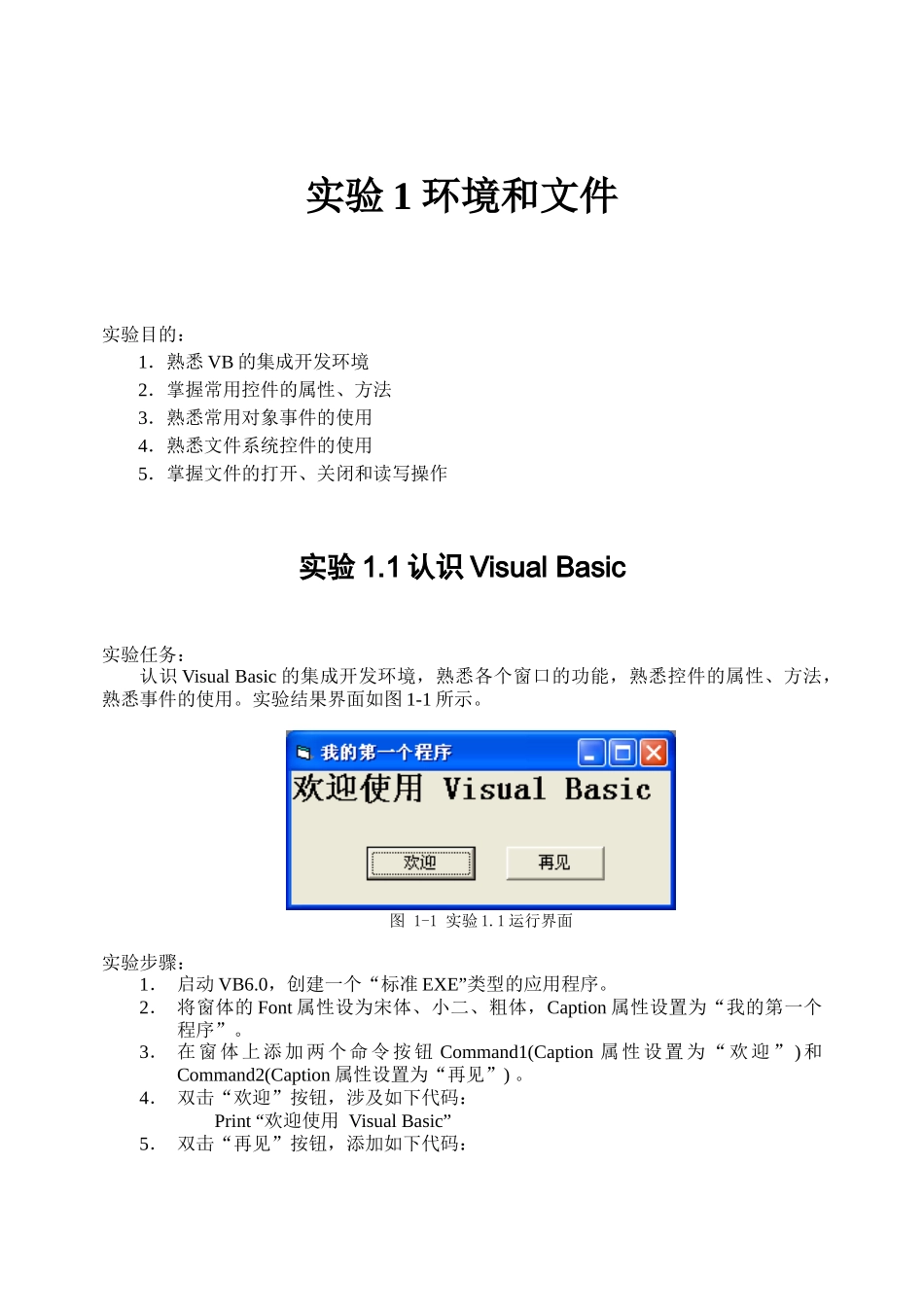 实验1VB编程环境和文件_第1页