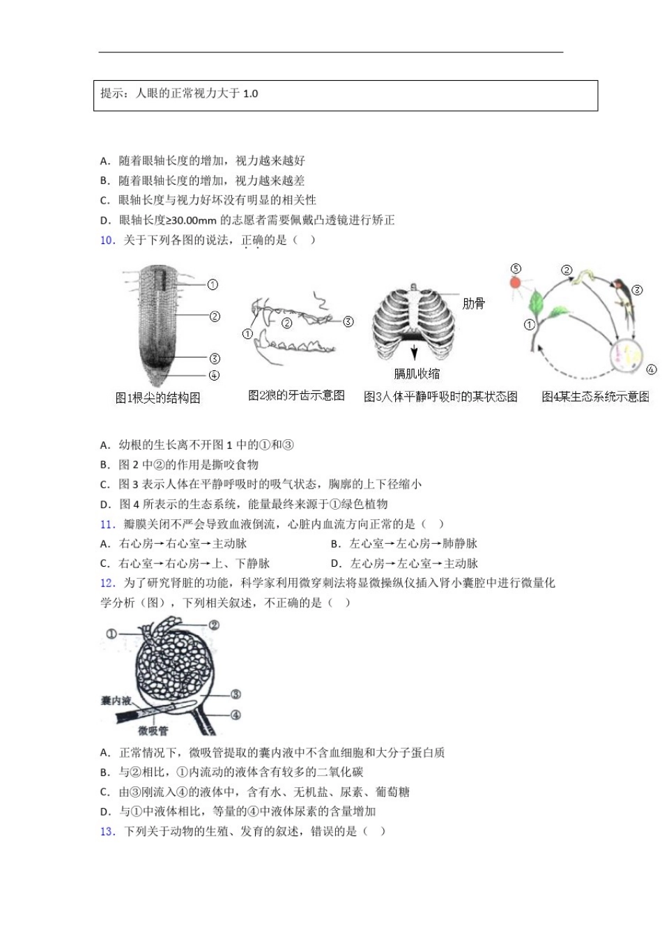 初中生物模拟试卷及答案_第2页