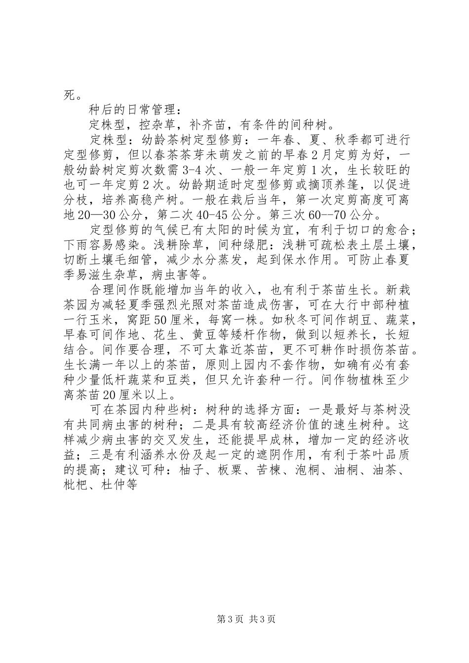茶苗的栽培管理要点(大睿总结)_第3页