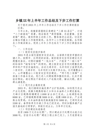 乡镇上半年工作总结及下步工作打算