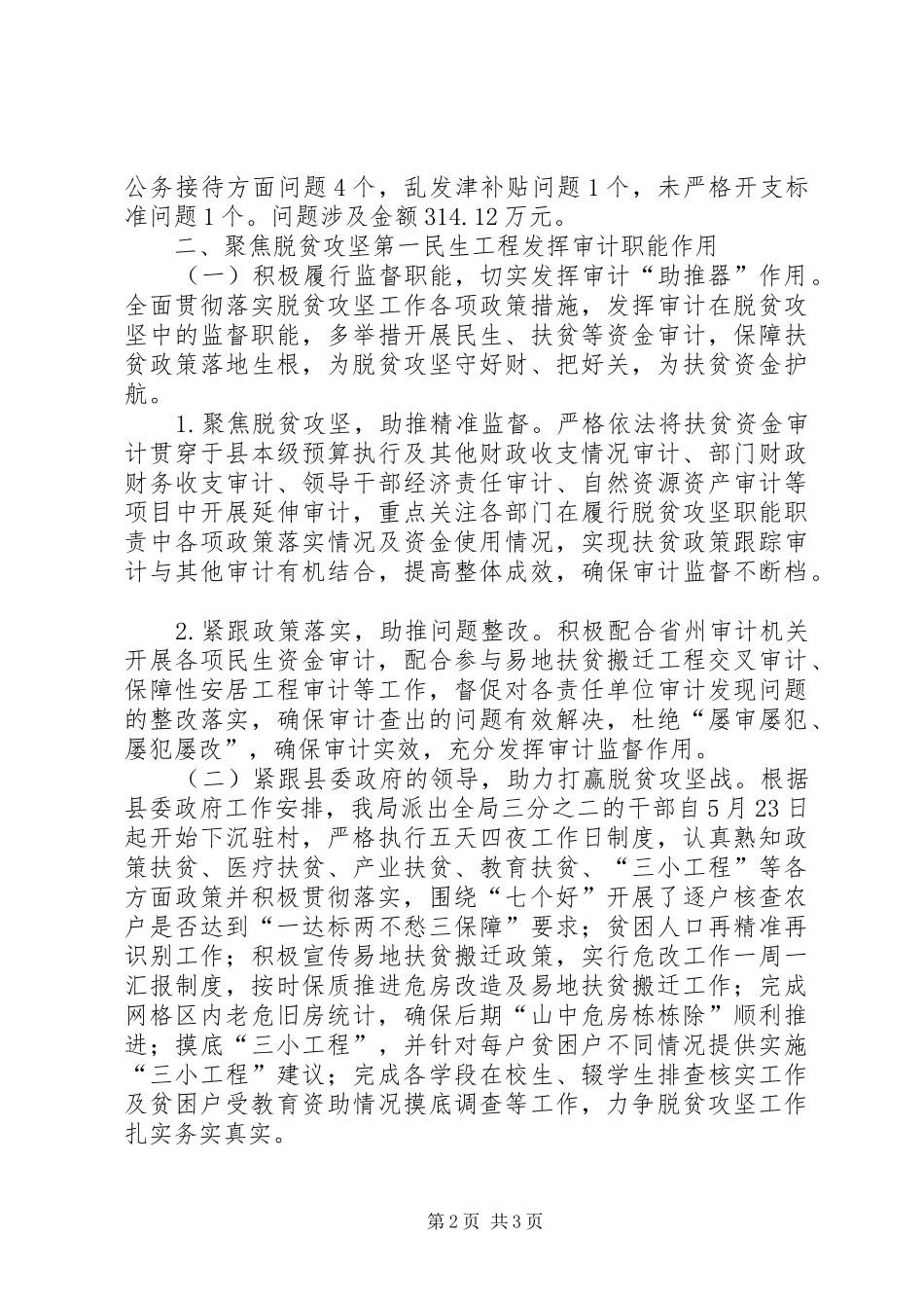 县审计局工作总结及工作打算_第2页