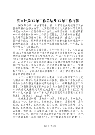 县审计局工作总结及工作打算