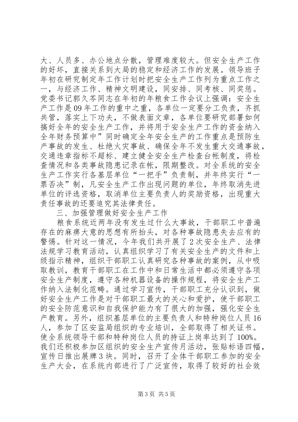 粮食局安全整治工作年终总结_第3页