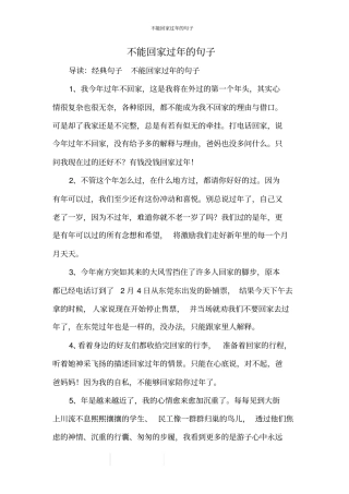 不能回家过年的句子