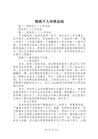 财政个人年终总结