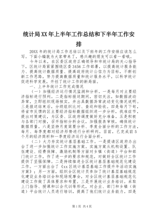 统计局上半年工作总结和下半年工作安排
