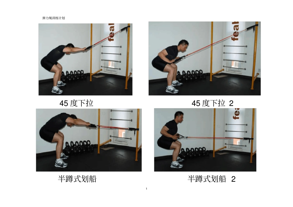 (完整版)弹力绳全面训练图解_第1页