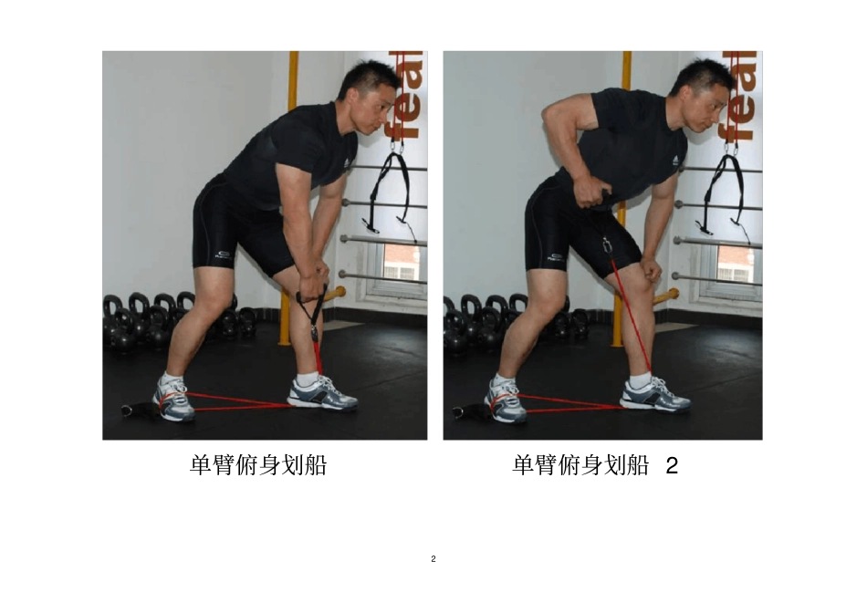 (完整版)弹力绳全面训练图解_第2页