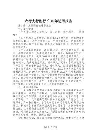 农行支行副行长述职报告