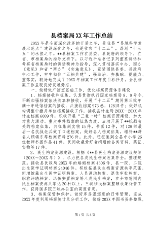 县档案局工作总结