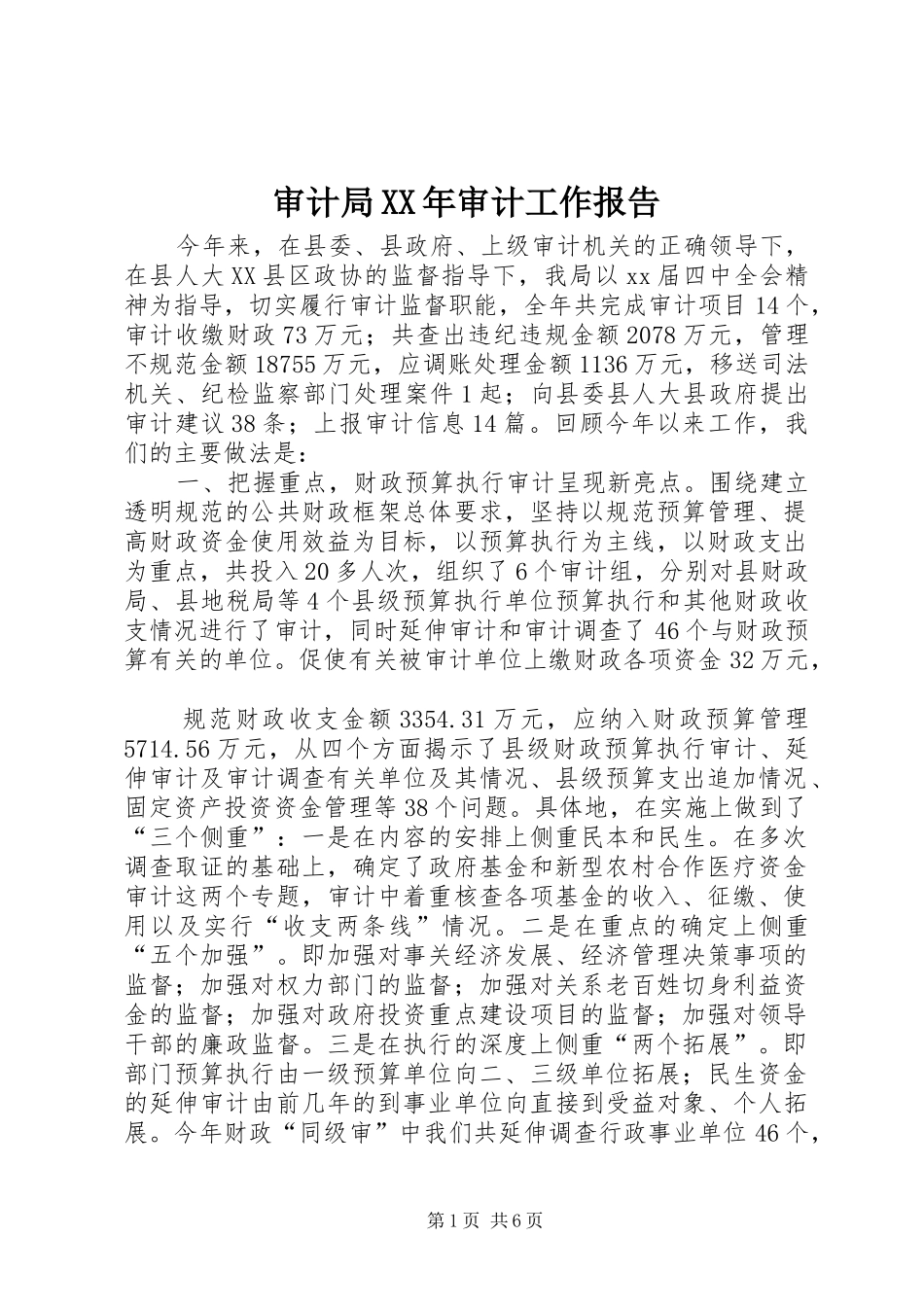 审计局审计工作报告_第1页