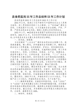 县食药监局工作总结和工作计划
