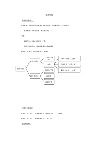 循环系统笔记