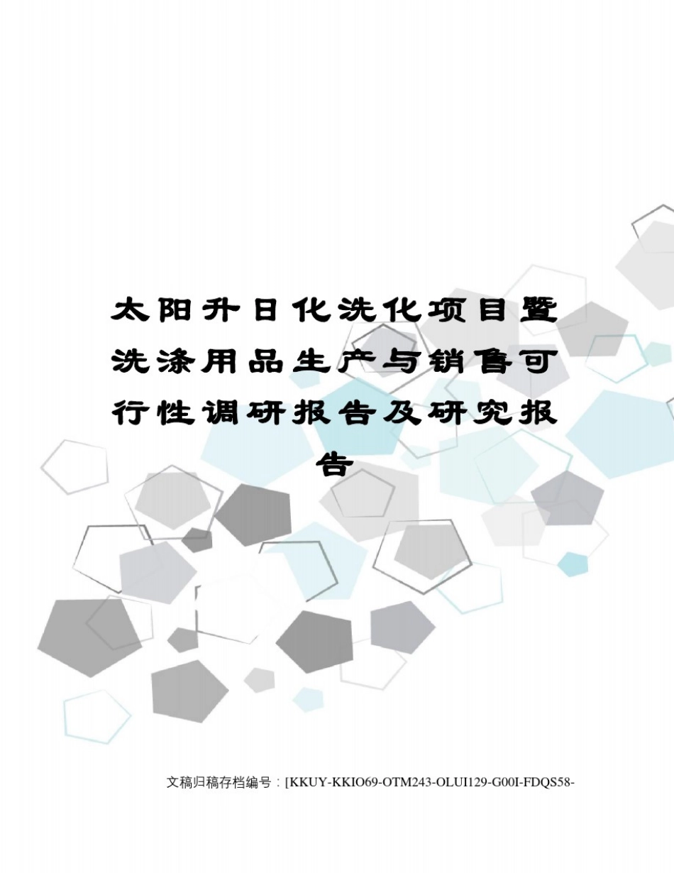 太阳升日化洗化项目暨洗涤用品生产与销售可行性调研报告及研究报告_第1页