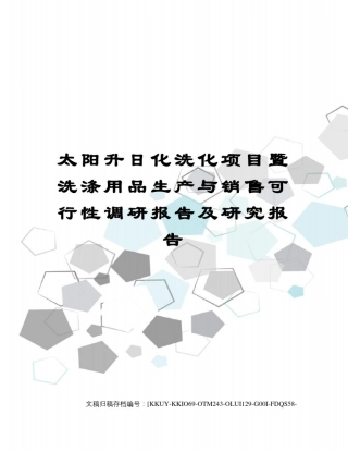 太阳升日化洗化项目暨洗涤用品生产与销售可行性调研报告及研究报告