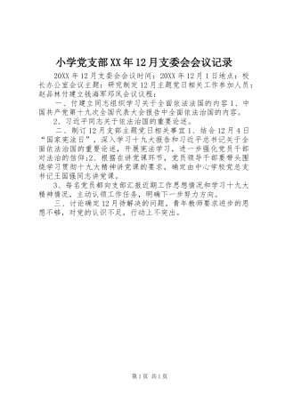 小学党支部月支委会会议记录