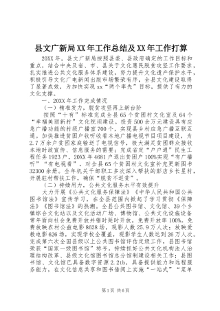 县文广新局工作总结及工作打算