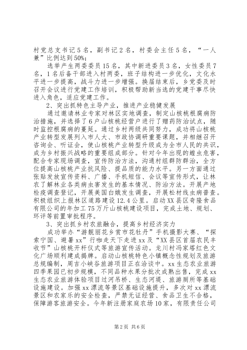 乡镇政府工作总结及工作计划_第2页