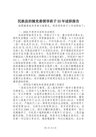 民族县的镇党委领导班子述职报告